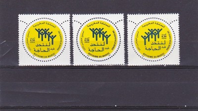 Saptamana solidaritatii 3 ani ,Maroc. foto