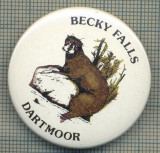 1977 INSIGNA - BECKY FALLS - DARTMOOR - REGATUL UNIT AL MARII BRITANII -starea care se vede
