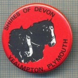 1967 INSIGNA - SHIRES OF DEVON - YEALMPTON. PLYMOUTH (SIMBOL, DOUA CAPETE DE CAI) - REGATUL UNIT AL MARII BRITANII -starea care se vede