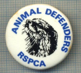 1943 INSIGNA - ANIMAL DEFENDERS - RSPCA - PROTECTIA ANIMALELOR - REGATUL UNIT AL MARII BRITANII -starea care se vede