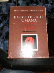 Embriologie umana normala si patologica - Lucia Bareliuc foto