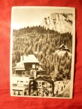 Ilustrata- Lacul Rosu - Vedere , inc. anilor &#039;50