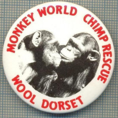 1940 INSIGNA -MONKEY WORLD CHIMP RESCUE -WOOL DORSET - REGATUL UNIT AL MARII BRITANII -starea care se vede