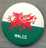 1952 INSIGNA - WALES(TARA GALILOR) - REGATUL UNIT AL MARII BRITANII -starea care se vede