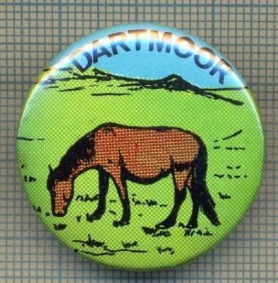 2032 INSIGNA - DARTMOOR - REGATUL UNIT AL MARII BRITANII -starea care se vede foto