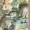 (C5685) CISMIGIU &amp;COMP. DE GRIGORE BAJENARU, EDITURA TINERETULUI , 1968