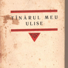 (C5680) TANARUL MEU ULISE DE TRAIAN COSOVEI, EDITURA PENTRU LITERATURA, 1966