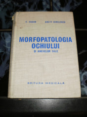 Morfopatologia ochiului si anexelor sale - F. Fodor foto