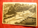 Ilustrata Timisoara - Parcul I.V.Stalin RPR