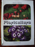 Floricultura / Milea Preda