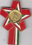 Insigna Ungaria Uriasa