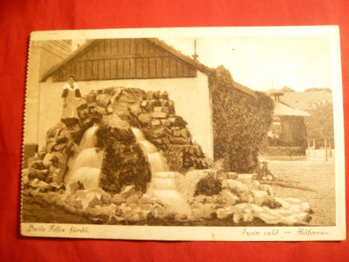 Ilustrata - Baile Felix - Izvorul Cald , circulat 1924
