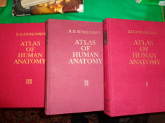 Atlas of human anatomy (atlas de anatomie umana/ 3 vol/ icu numeroase figuri/n limba engleza)-Sinelnikov foto