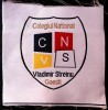 ROMANIA ECUSON COLEGIUL NATIONAL VLADIMIR STREINU GAESTI 98 x 98 mm **