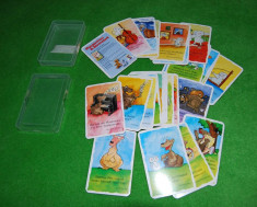 Joc de carti pentru copii cu intrebari in limba germana (intrebari cultura generala), cu imagini foarte frumoase, joc complet, 31 cartonase + cutie foto