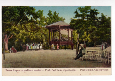 BUZIAS VEDERE DIN PARC CU PAVILIONUL MUZICAL ,PORT POPULAR,UJHELLY,BAILE BUZIAS foto