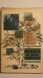 Valeriu Dinu - Padurea in proza romaneasca, 1989