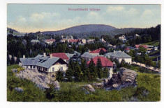 BORSEC VEDERE GENERALA -BORSZEK LATKEPE ,CIRCULAT 1916 foto