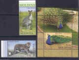 MOLDOVA 2013, Fauna, serie neuzata, MNH