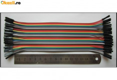 10 buc Cabluri de test Dupont mama - mama pt breadboard 20cm foto
