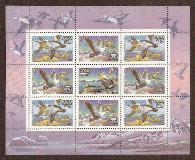 RUSIA 1993 PASARI, RATE foto