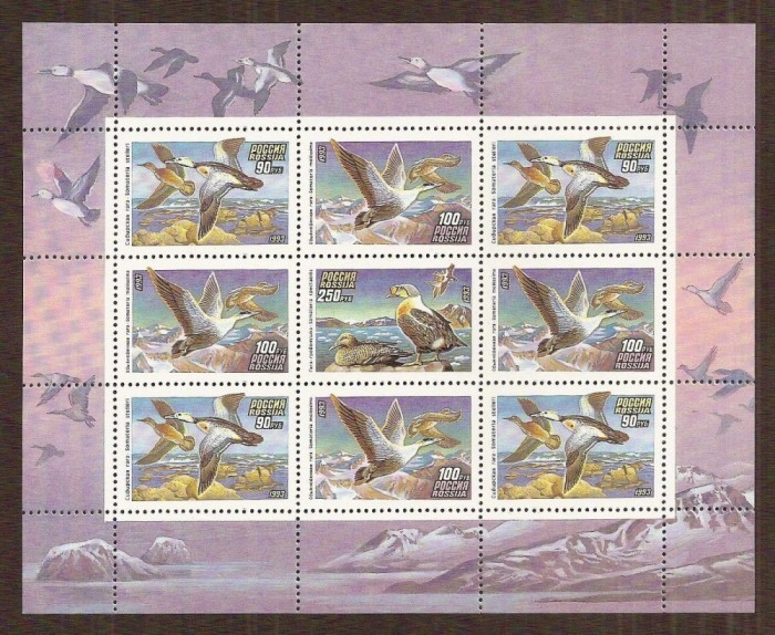 RUSIA 1993 PASARI, RATE