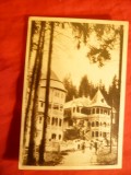 Ilustrata Borsec - Case de Odihna , circulat 1955