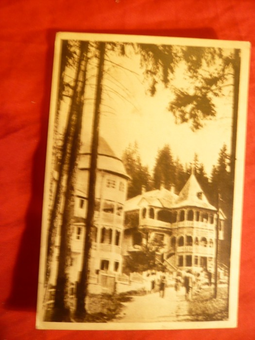 Ilustrata Borsec - Case de Odihna , circulat 1955