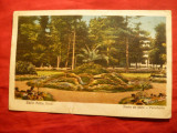 Ilustrata - Baile Felix - Parte din Parc 1928 , color, Circulata