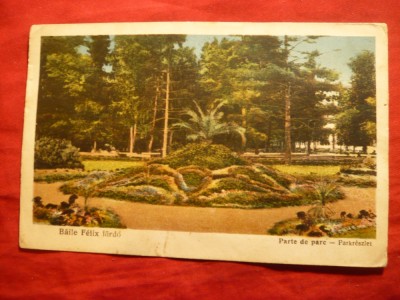 Ilustrata - Baile Felix - Parte din Parc 1928 , color foto