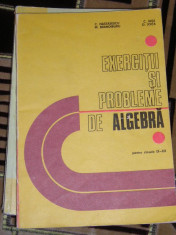 RWX 06 - EX SI PROBLEME DE ALGEBRA - CLS 11-12 - NASTASESCU - BRANDIBURU - 1981 foto