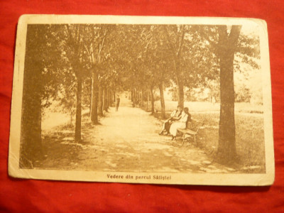 Ilustrata - Vedere din Parcul Salistei- Sibiu- 2 femei in costume populare , pe banca , circ. 1925 foto