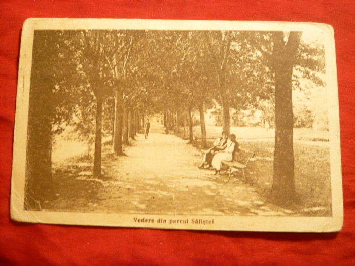 Ilustrata - Vedere din Parcul Salistei- Sibiu- 2 femei in costume populare , pe banca , circ. 1925