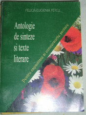 RWX 06 - ANTOLOGIE DE SINTEZE SI TEXTE LITERARE - F EUGENIA FETCU - EDITATA 2003 foto