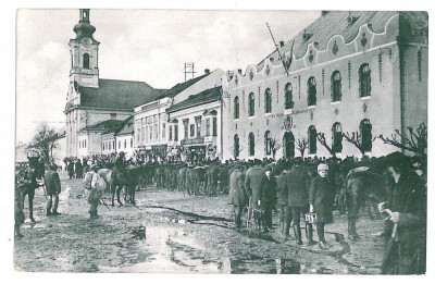 1480 - SIGHET, Maramures, Market - old postcard - used - 1915 foto