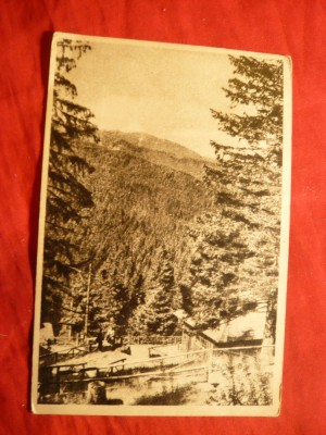 Ilustrata Paltinis judet Sibiu - Vedere , anii &amp;#039;50 foto
