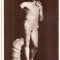 CPI (B5134) ATENA. MUZEUL DE ARHEOLOGIE. HERMES D&#039;ANDROS, EDITURA DELTA, NECIRCULATA