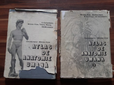 ATLAS DE ANATOMIE UMANA [2 volume] -- C. Cerbulescu, Mircea Ifrim, N. Bareliuc, Mircea Ifrim, Tiberiu Maros, Gh. Niculescu -- 1983, 212+263 p. foto