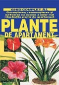 Plante de apartament - Ghid complet foto