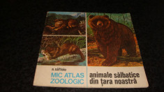 N. Saftoiu - Mic atlas zoologic - Animale salbatice din tara noastra - ed Ceres 1986 foto