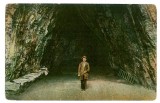2265 - Baile HERCULANE, Dwarf in cave - old postcard - unused