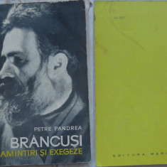 Petre Pandrea , Brancusi , 1967 , editia 1 cu autograf si dedicatie pe o pagina