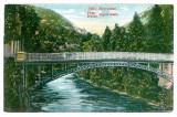 Carte Postala Baile Herculane, Pod Regina Maria, Vedere Veche Necirculata, Banat, Romania