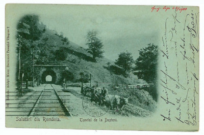 2021 - BUSTENI, Prahova, Railroad Tunnel, Litho - old postcard - used - 1900 foto