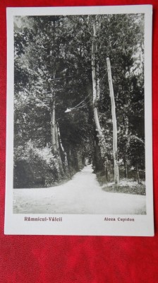 Vedere/Carte postala - Ramnicul Valcea - Aleea Cupidon foto