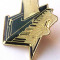 T2. INSIGNA TIP PIN MUZICA PIAN MAINI PE CLAVIATURA - dimensiune 30 x 25 mm **