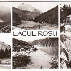 Carte postala multipla,mozaic necirculata format mare RPR LACUL ROSU