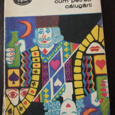 CUM PETREC CALUGARII - Damian Stanoiu - 1974, 308 p.