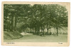 2412 - CACIULATA, Valcea, izvoarele - old postcard - used - 1926, Circulata, Printata