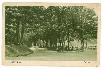 2412 - CACIULATA, Valcea, izvoarele - old postcard - used - 1926 foto